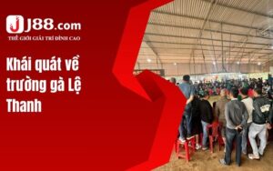 Khái quát về trường gà Lệ Thanh