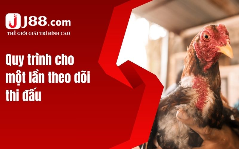 Quy trình cho một lần theo dõi thi đấu