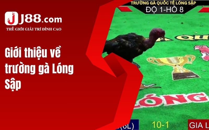 Giới thiệu về trường gà Lóng Sập