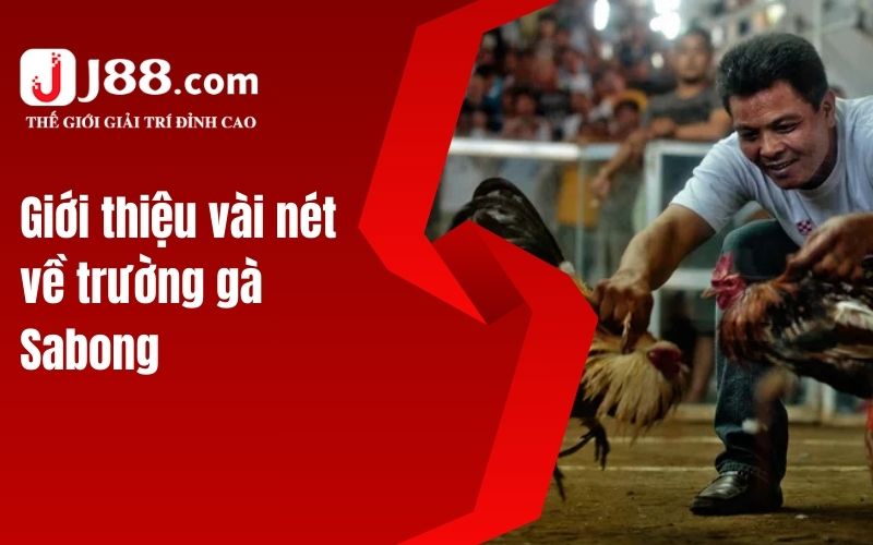 Giới thiệu vài nét về trường gà Sabong