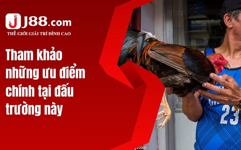 Tham khảo những ưu điểm chính tại đấu trường này